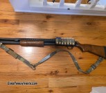 12 Gague Shotguns